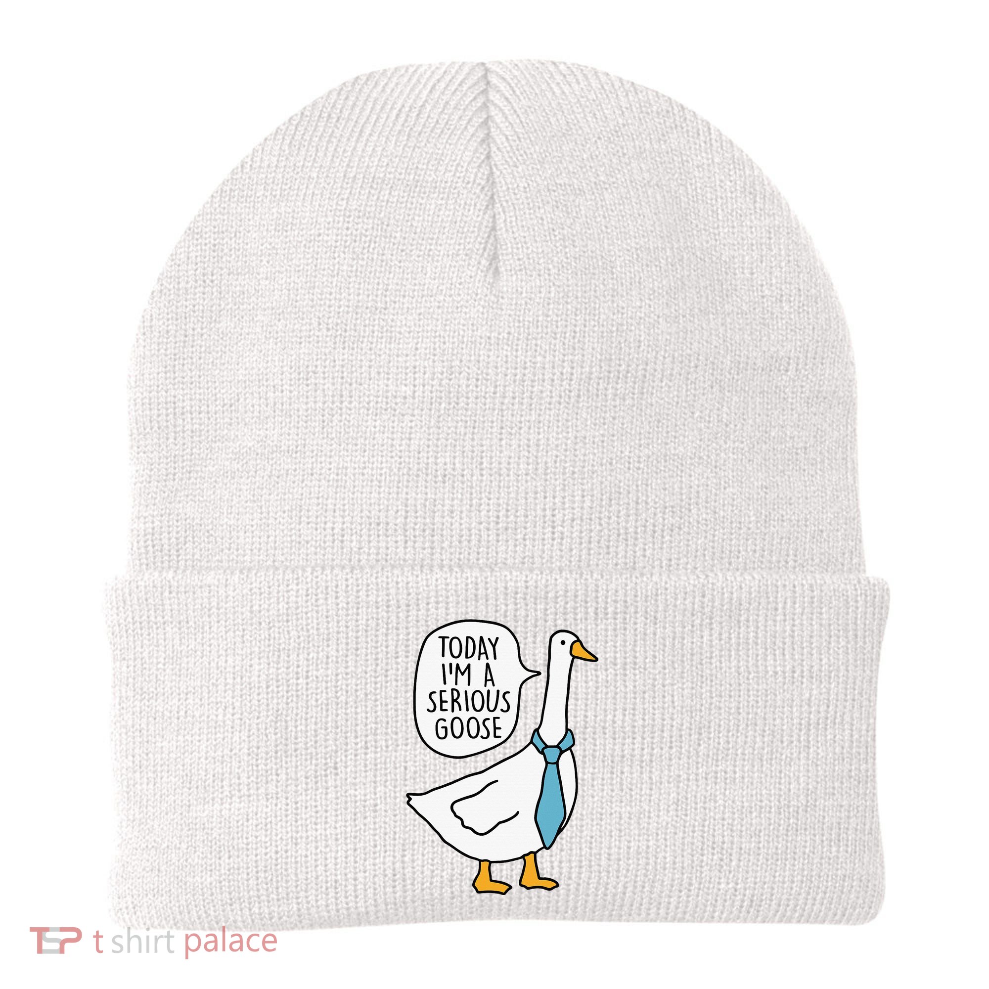 Today IM A Serious Goose Beanie