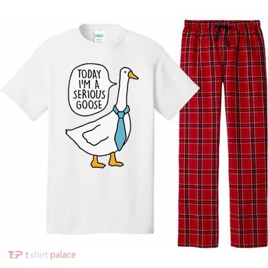 Today IM A Serious Goose Pajama Set