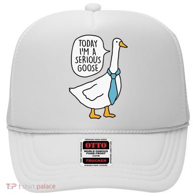 Today IM A Serious Goose Hat