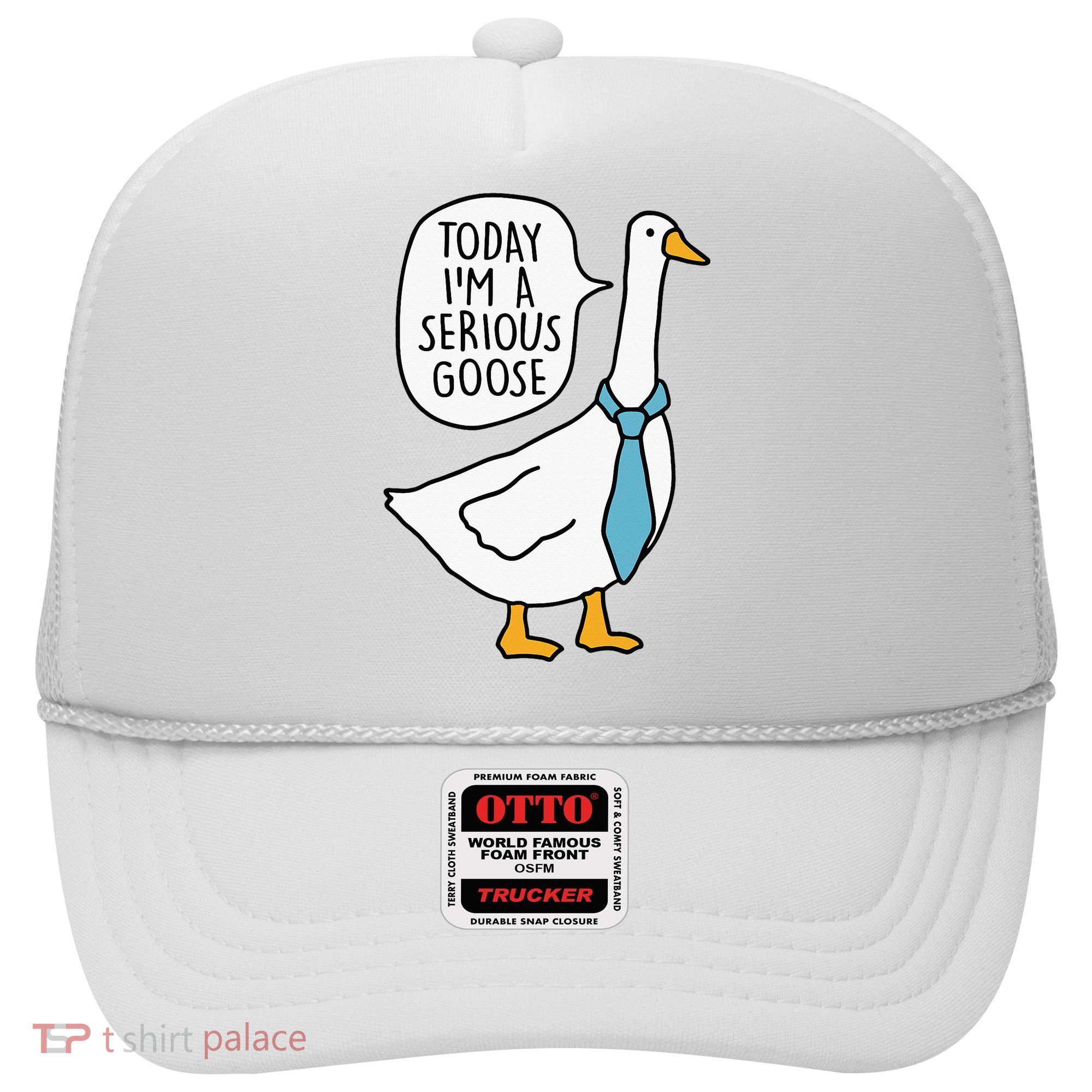 Today IM A Serious Goose Hat