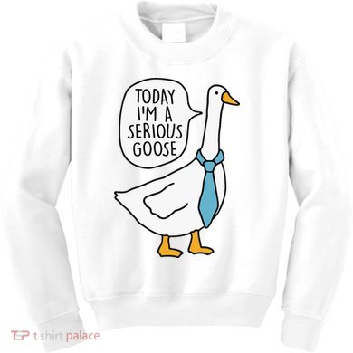 Today IM A Serious Goose Kids Sweatshirt
