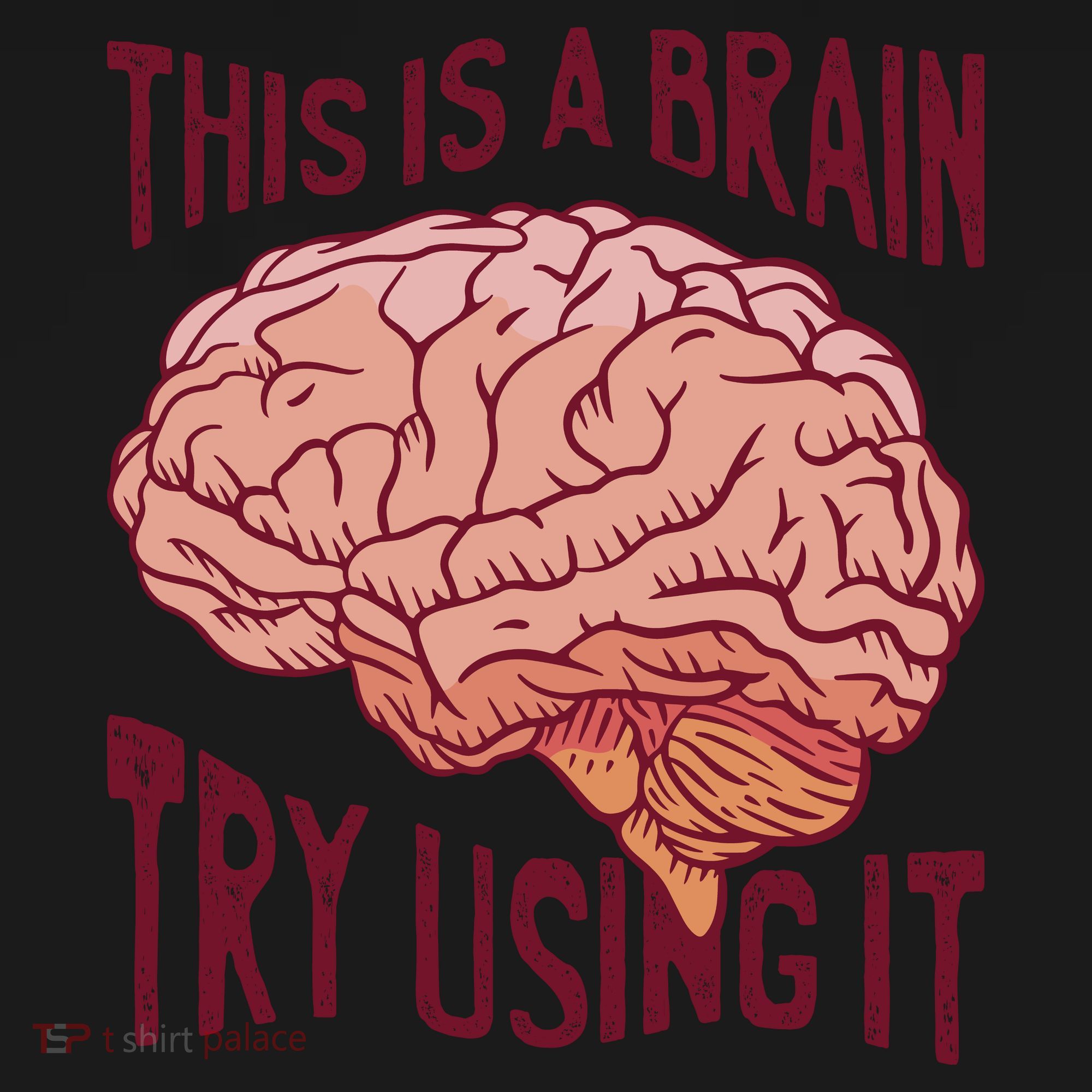 This Is A Brain Try Using It Funny USA-Made Doggie Bandana