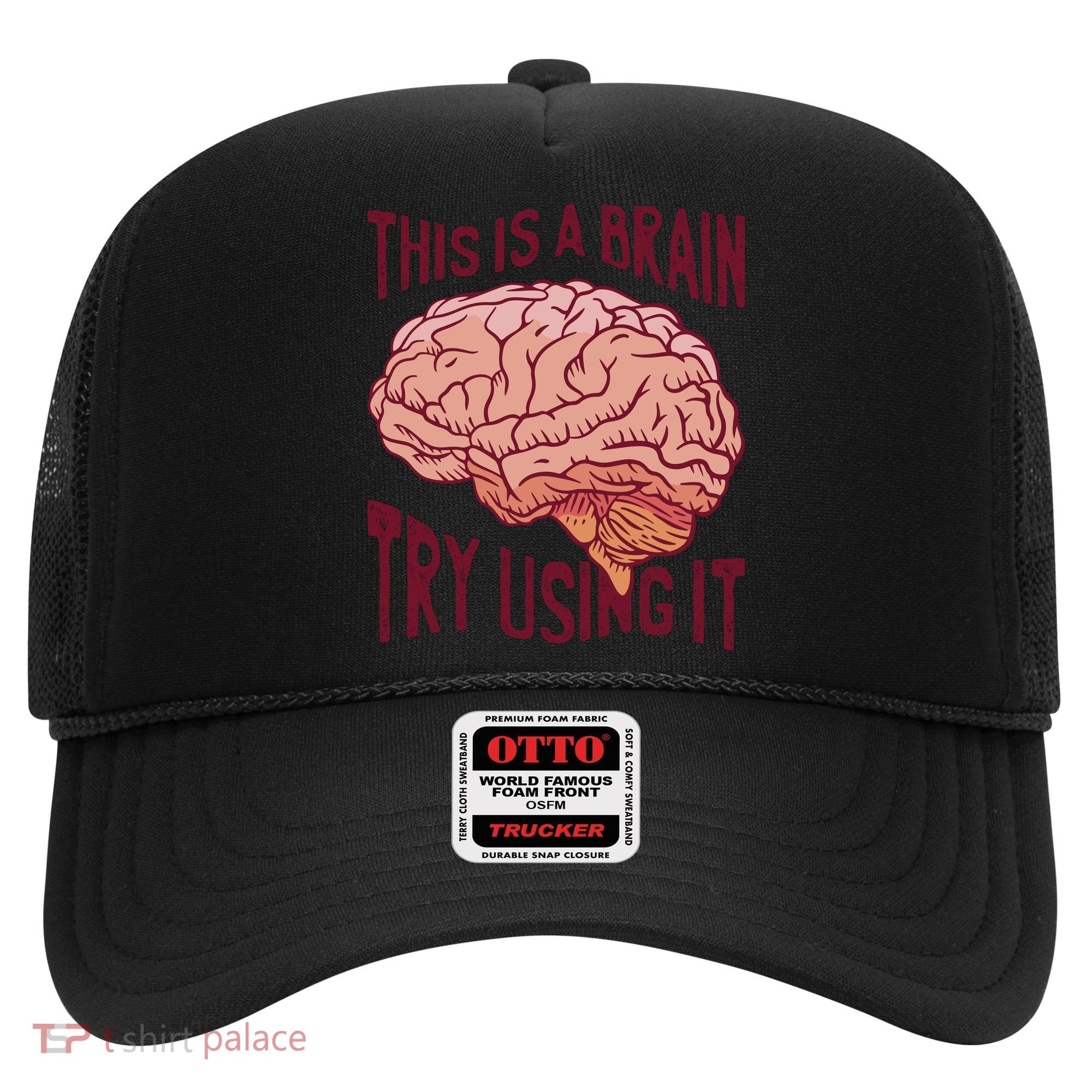 This Is A Brain Try Using It Funny Hat