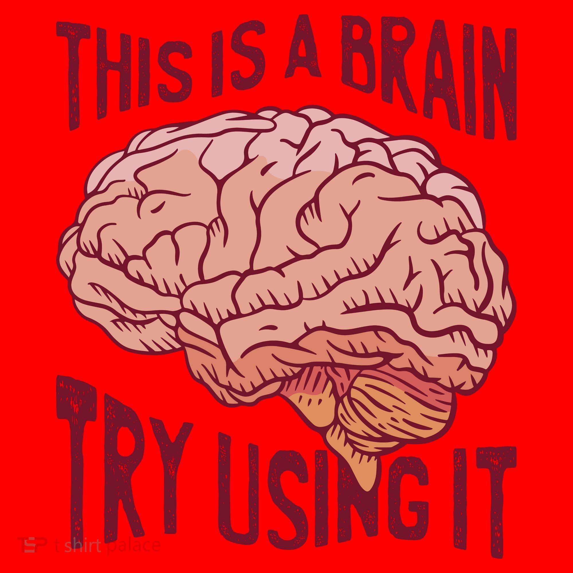 This Is A Brain Try Using It Funny Santa Hat