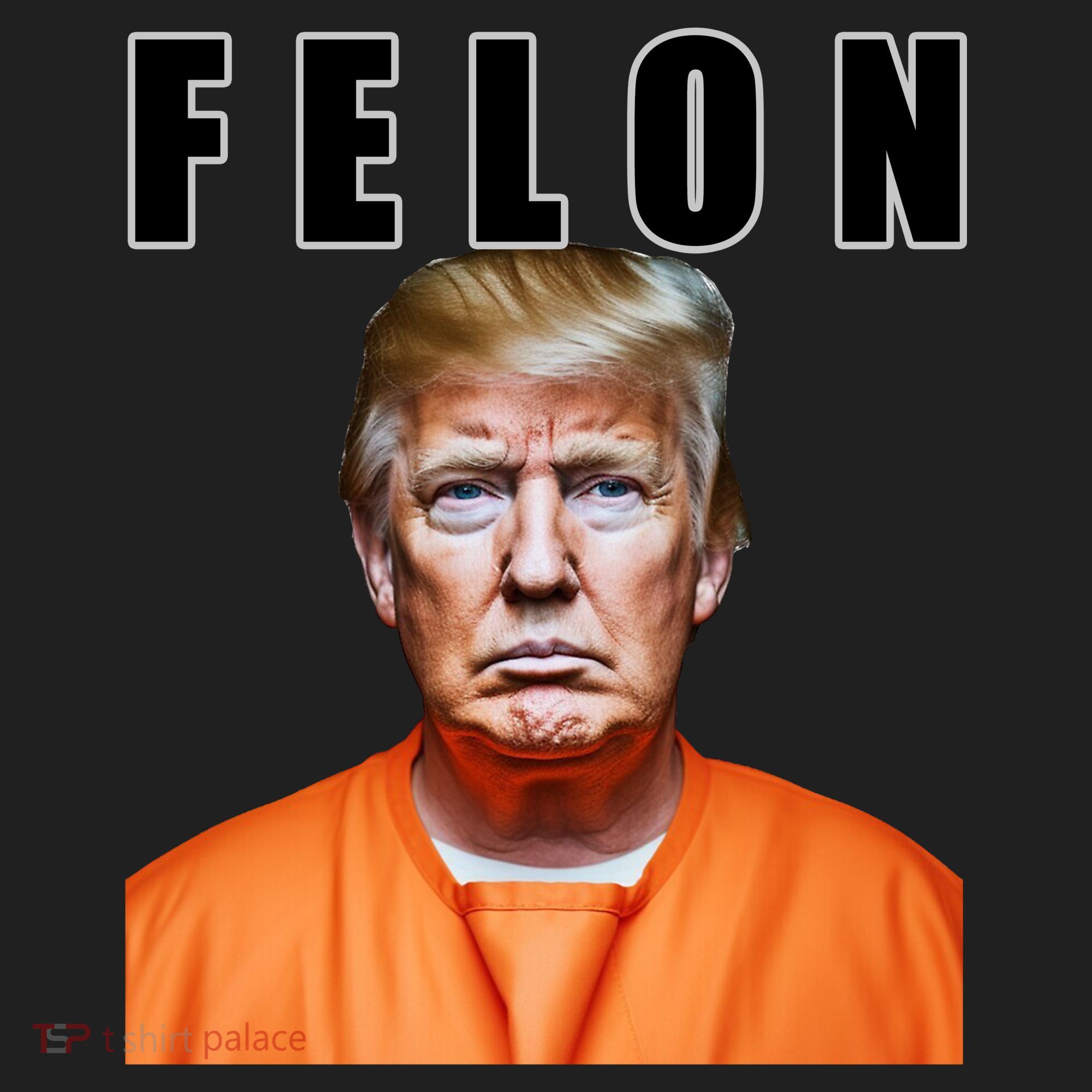 Trump Is A Felon Women's Sweatshirt