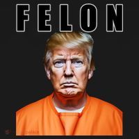 Trump Is A Felon Coaster thumb 2