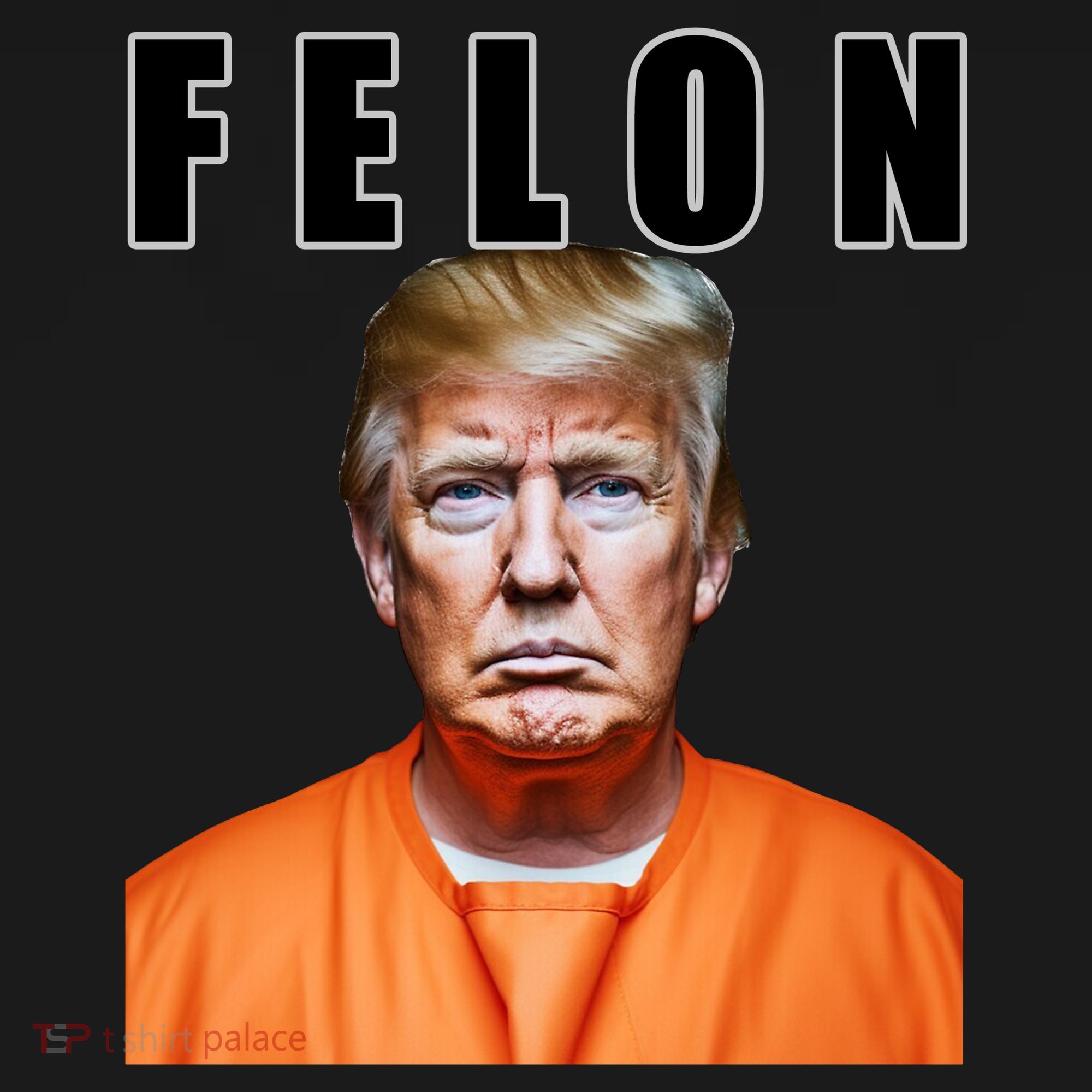 Trump Is A Felon Coaster