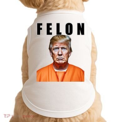 Trump Is A Felon Doggie Tank