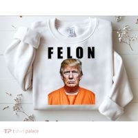 Trump Is A Felon Sweatshirt thumb 2