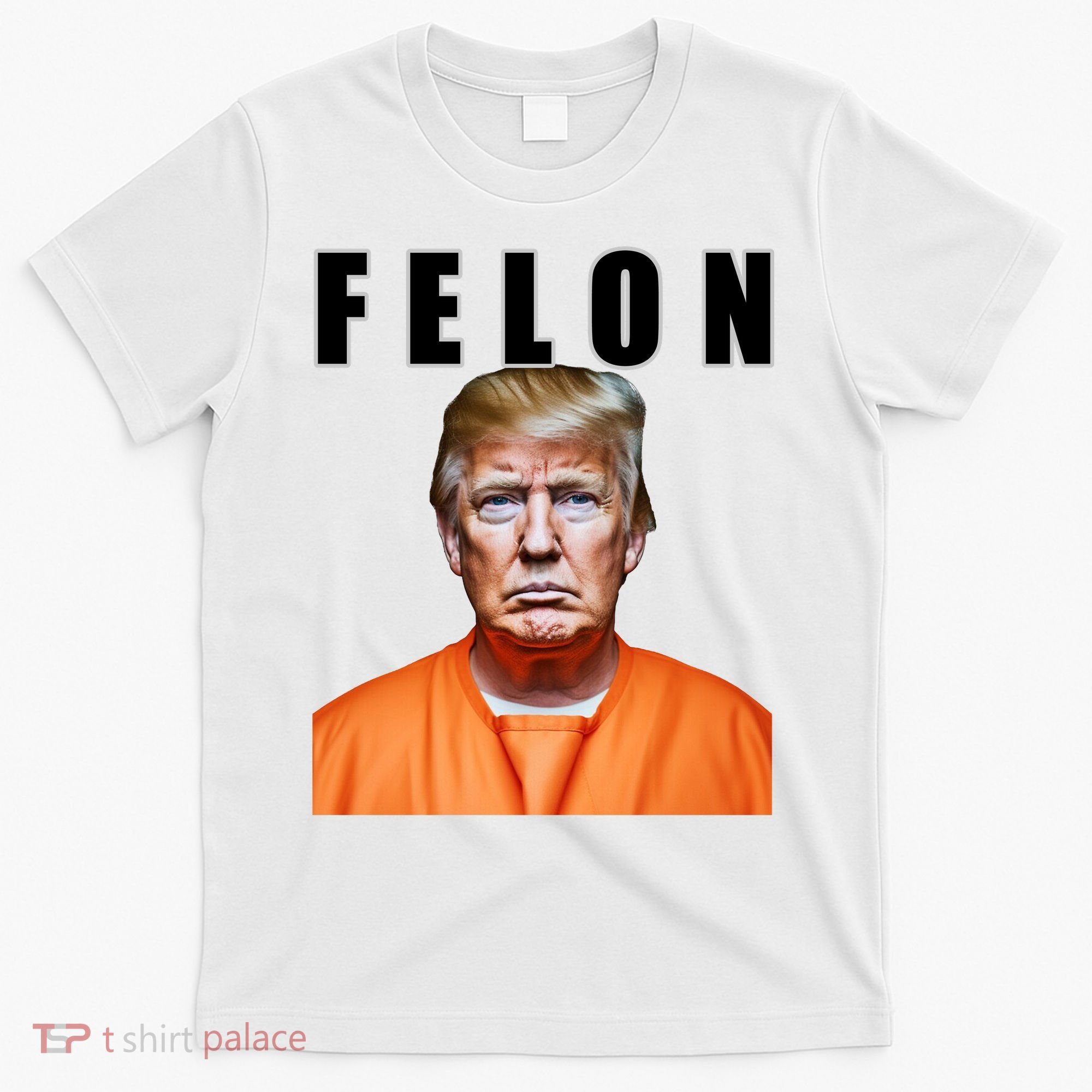 Trump Is A Felon T-Shirt