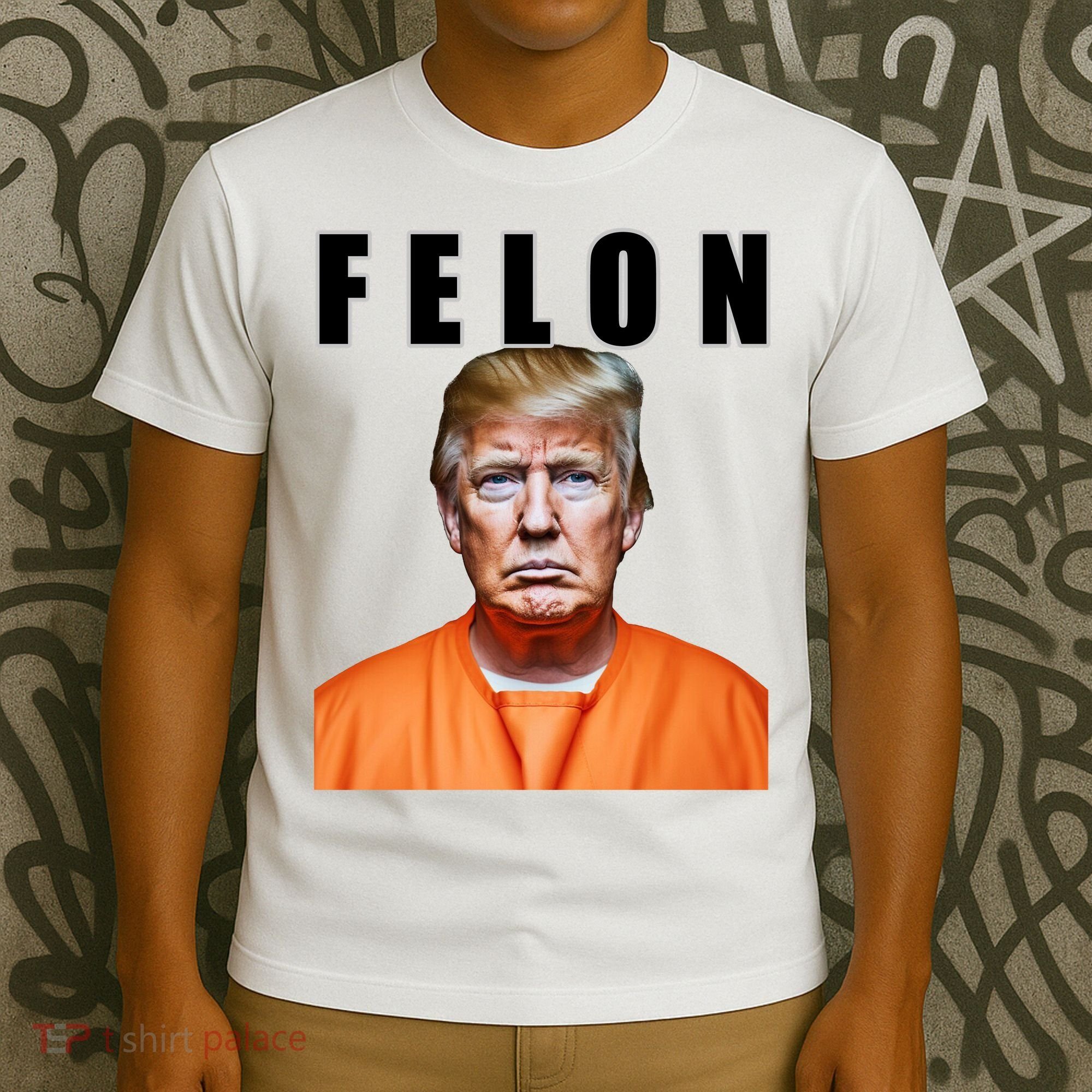 Trump Is A Felon T-Shirt
