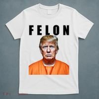 Trump Is A Felon T-Shirt thumb 5