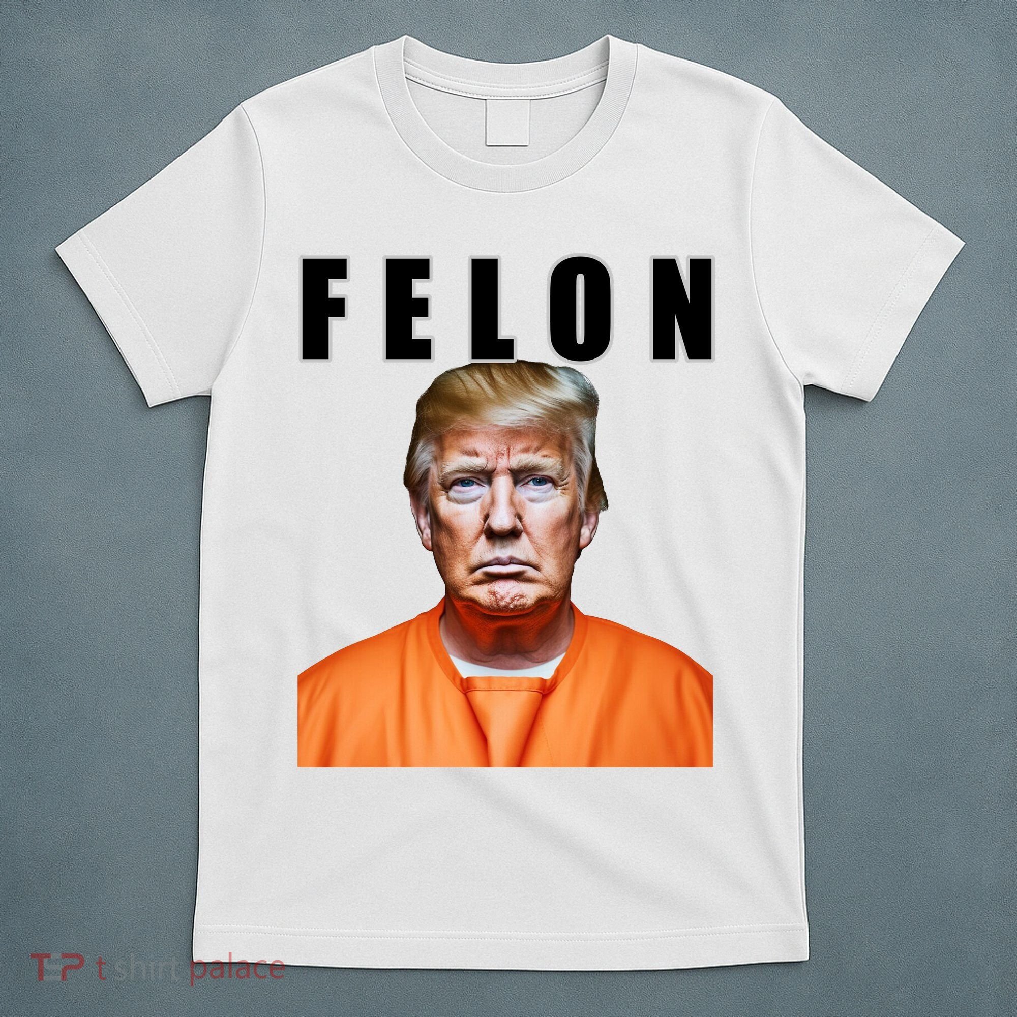 Trump Is A Felon T-Shirt