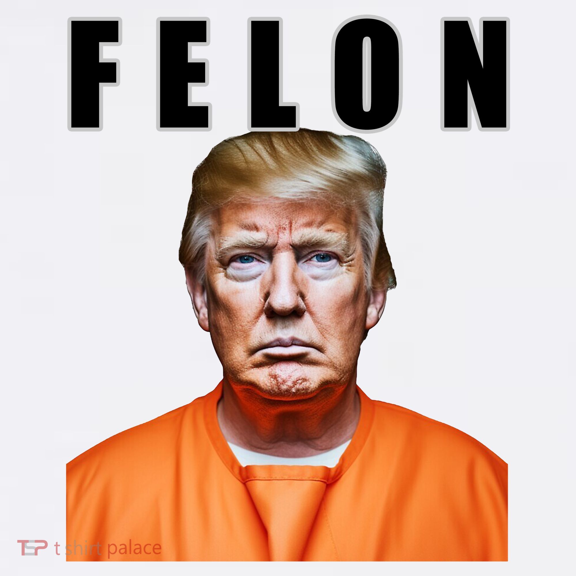 Trump Is A Felon Women's Hoodie