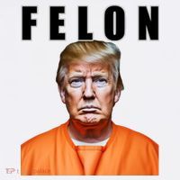 Trump Is A Felon Baby Bodysuit thumb 2