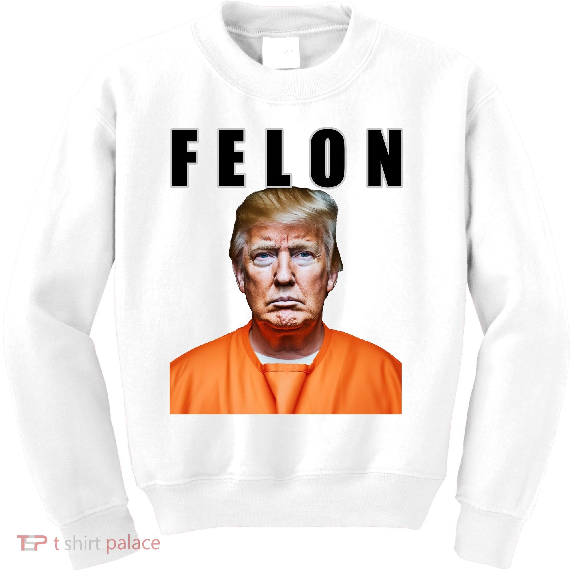 Trump Is A Felon Kids Sweatshirt