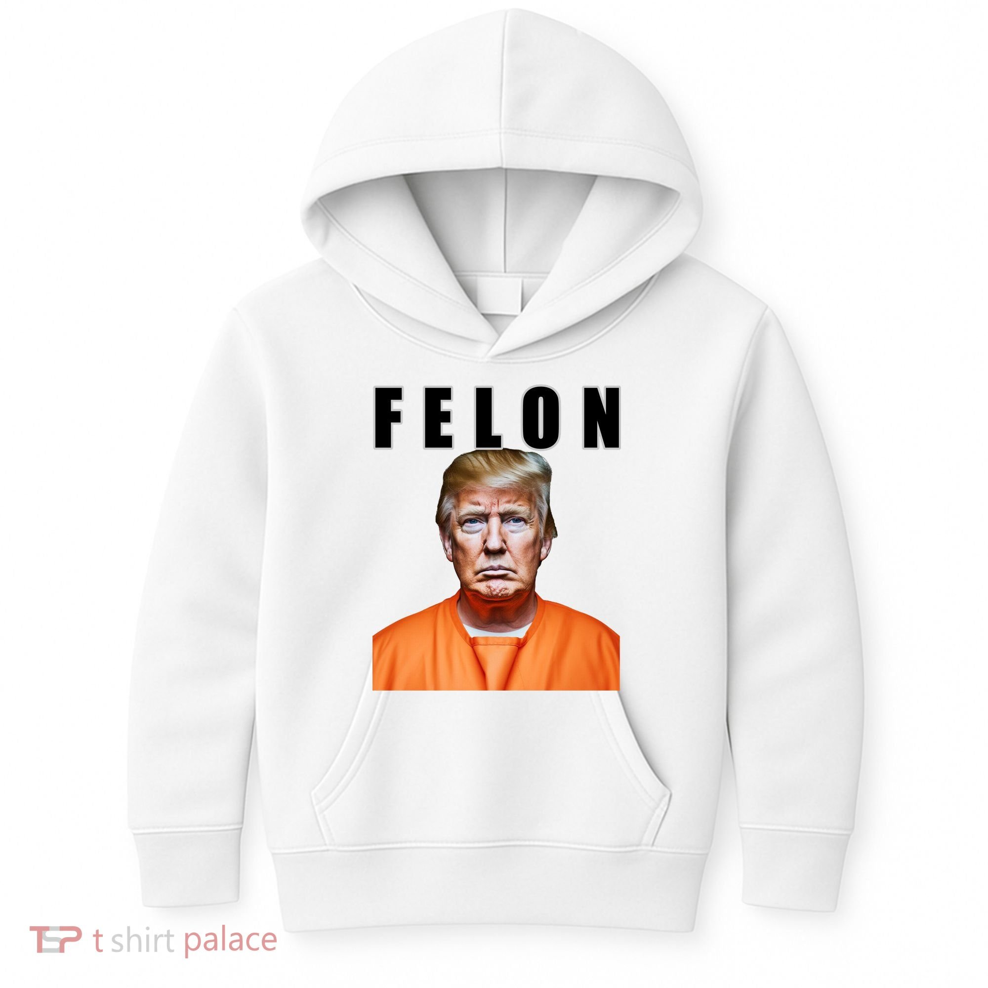 Trump Is A Felon Kids Hoodie