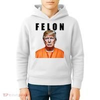 Trump Is A Felon Kids Hoodie thumb 4