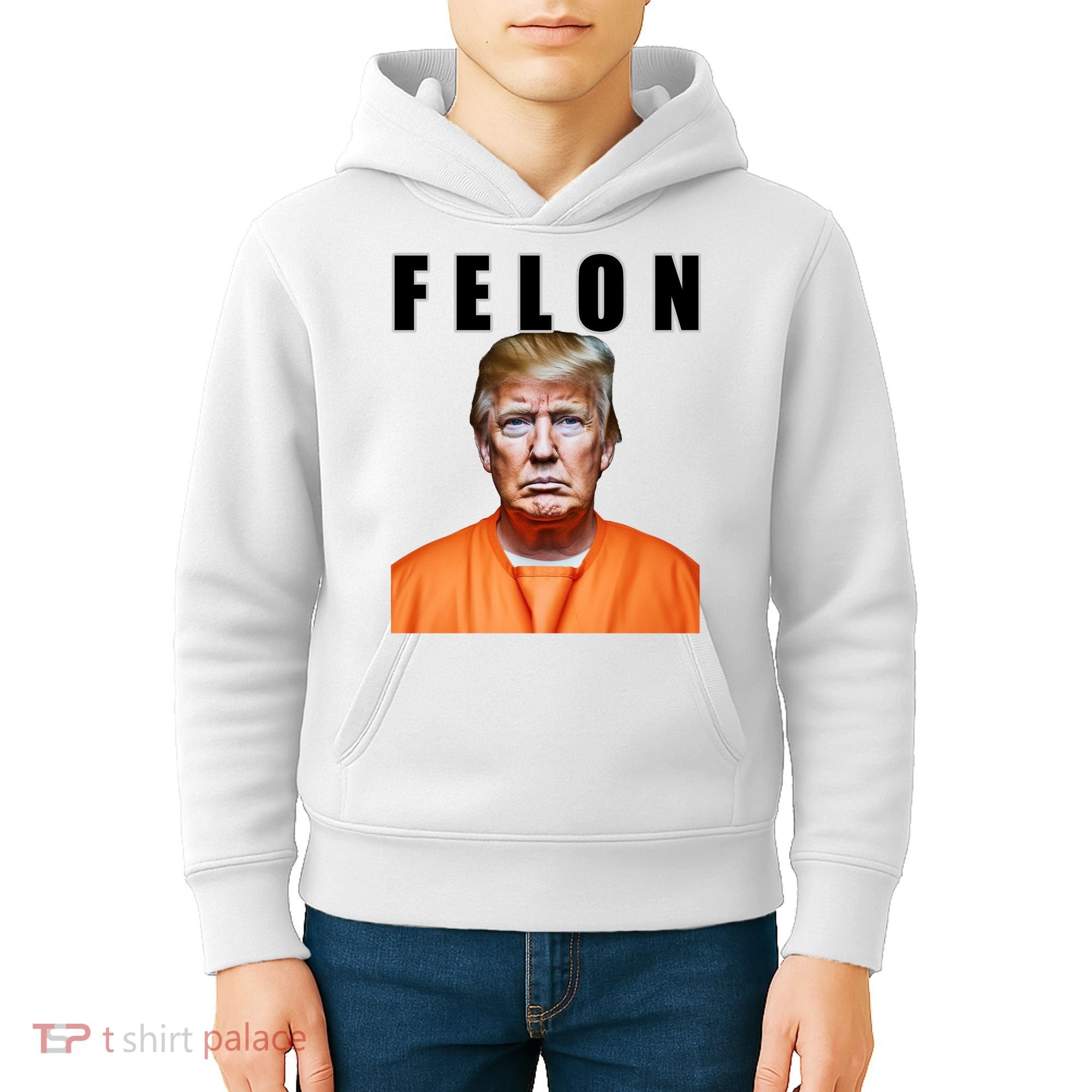 Trump Is A Felon Kids Hoodie