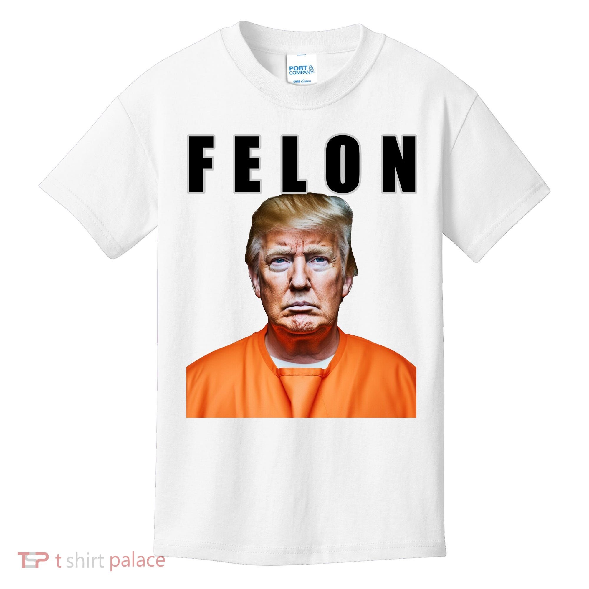 Trump Is A Felon Kids T-Shirt