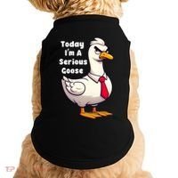 Today I Am A Serious Goose Funny Oddly Specific Dank Meme Doggie Tank thumb 0