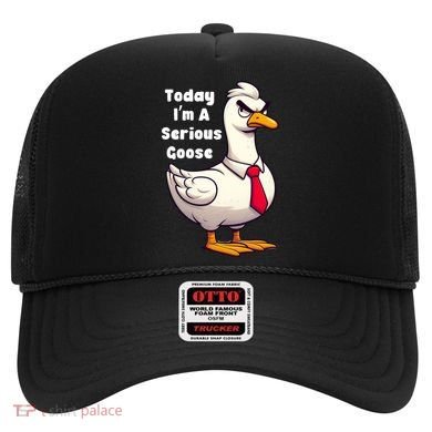Today I Am A Serious Goose Funny Oddly Specific Dank Meme Hat