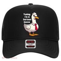 Today I Am A Serious Goose Funny Oddly Specific Dank Meme Hat thumb 0