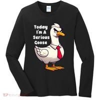 Today I Am A Serious Goose Funny Oddly Specific Dank Meme Women's Long Sleeve Shirt thumb 0