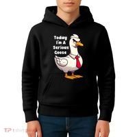 Today I Am A Serious Goose Funny Oddly Specific Dank Meme Kids Hoodie thumb 4