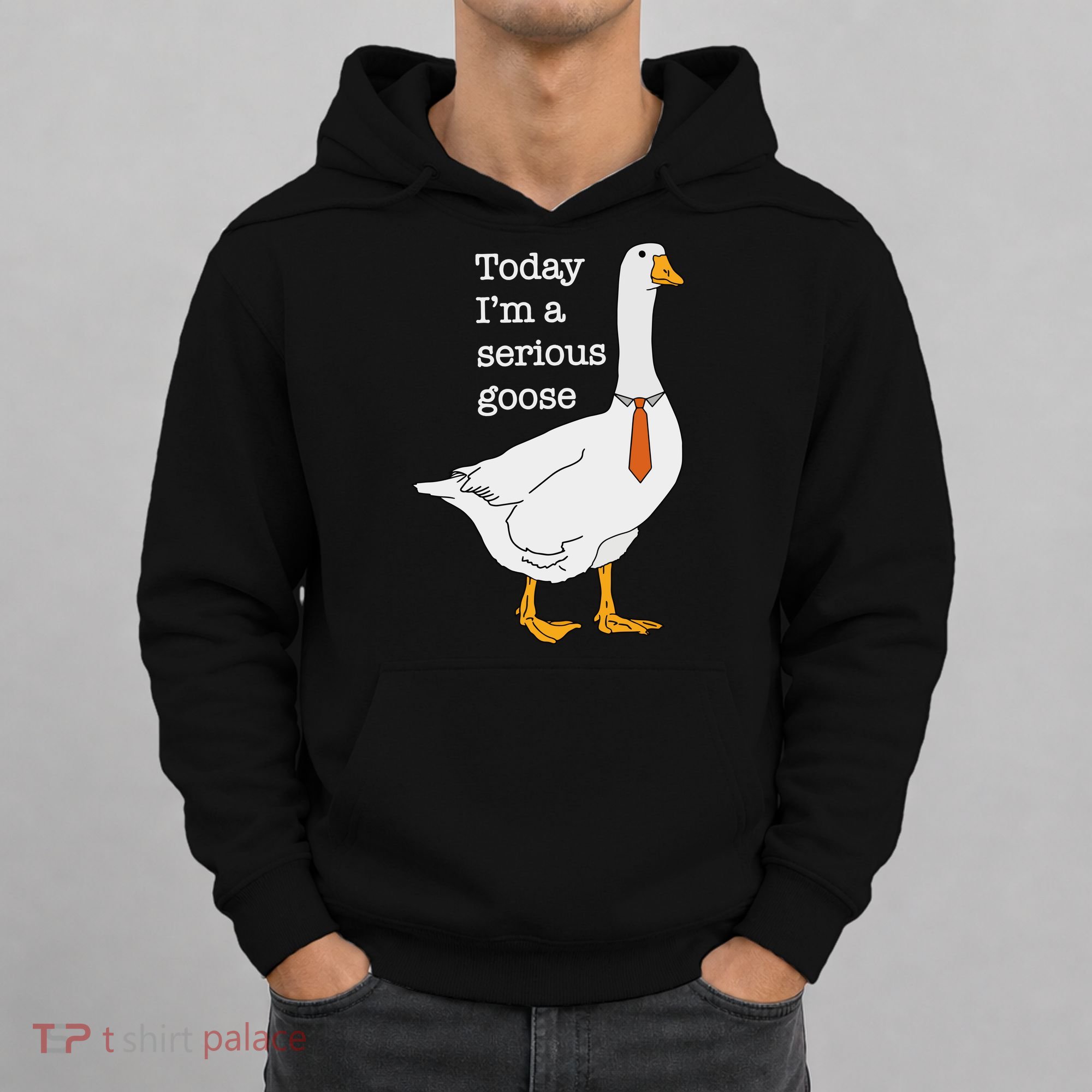 Today IM A Serious Goose Silly Goose Hoodie