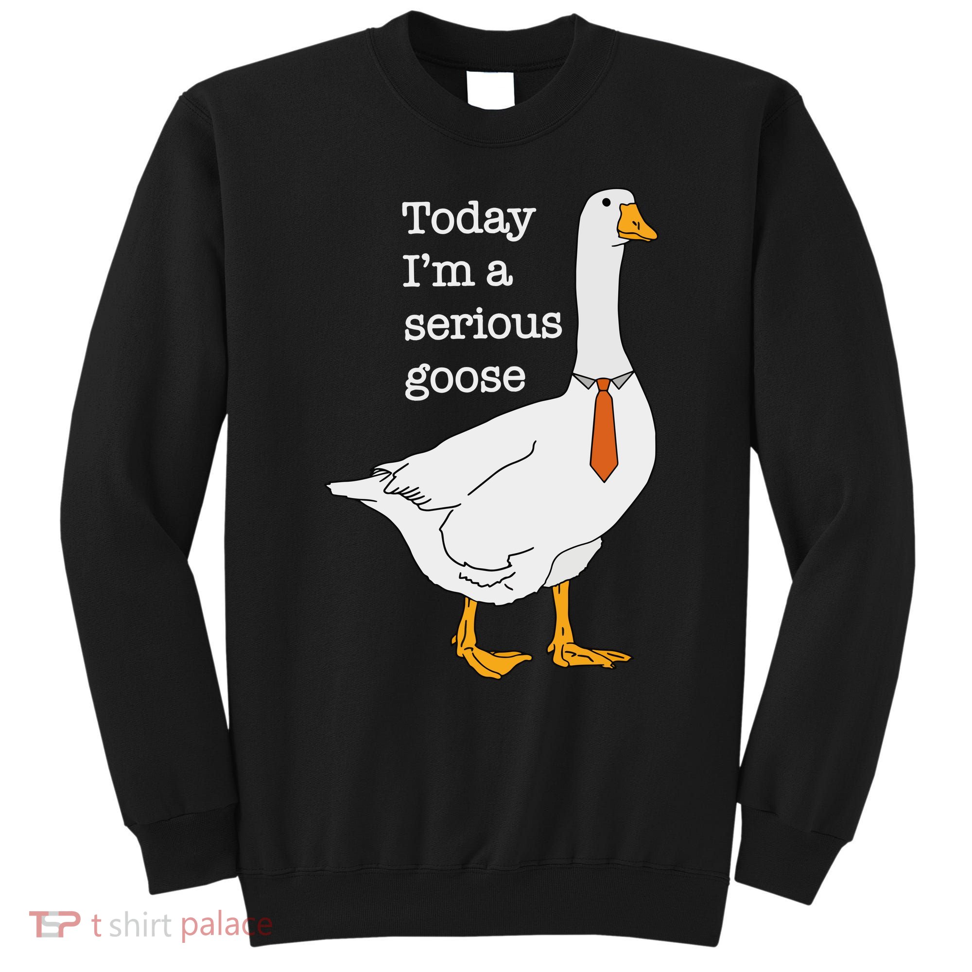 Today IM A Serious Goose Silly Goose Sweatshirt