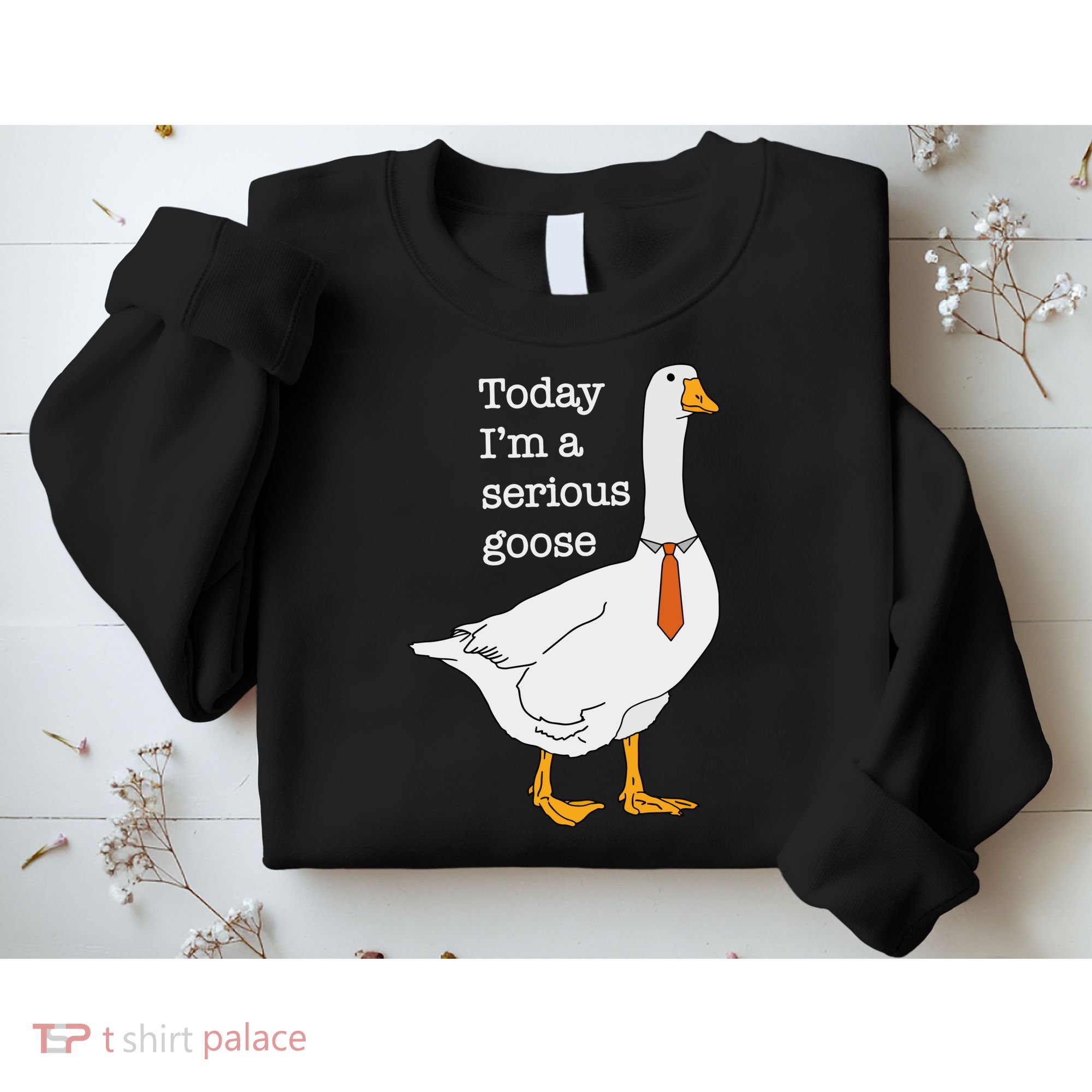 Today IM A Serious Goose Silly Goose Sweatshirt