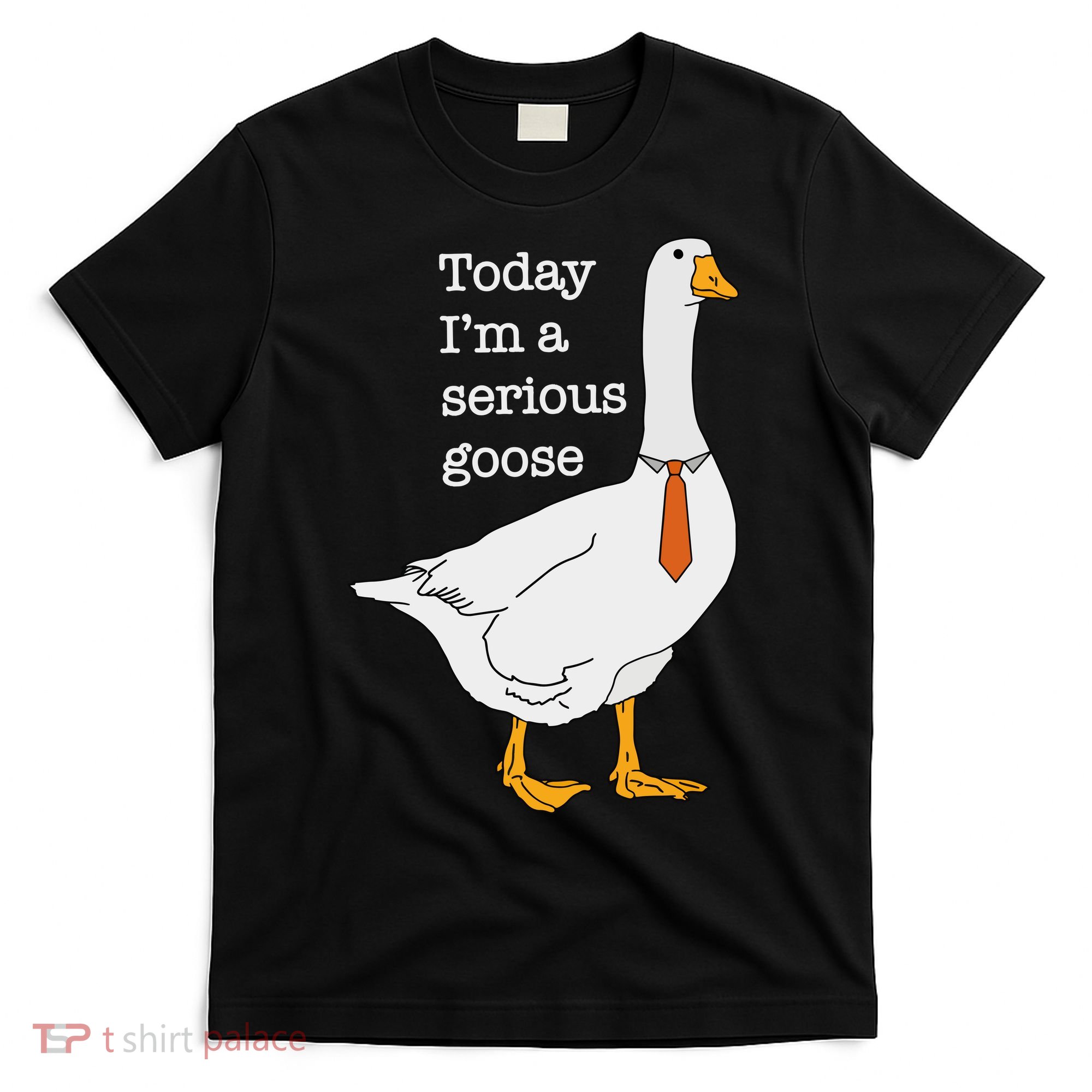Today IM A Serious Goose Silly Goose T-Shirt