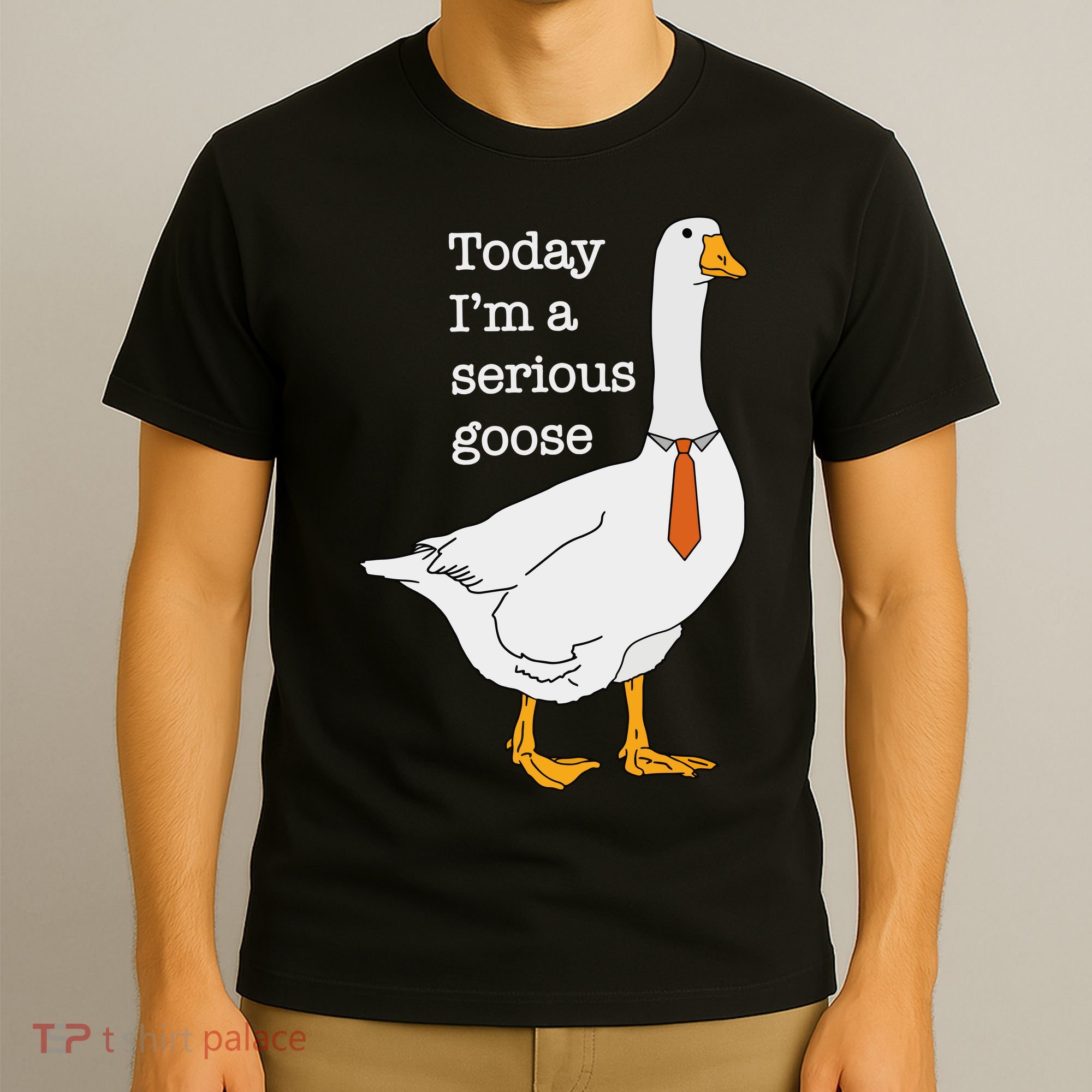 Today IM A Serious Goose Silly Goose T-Shirt