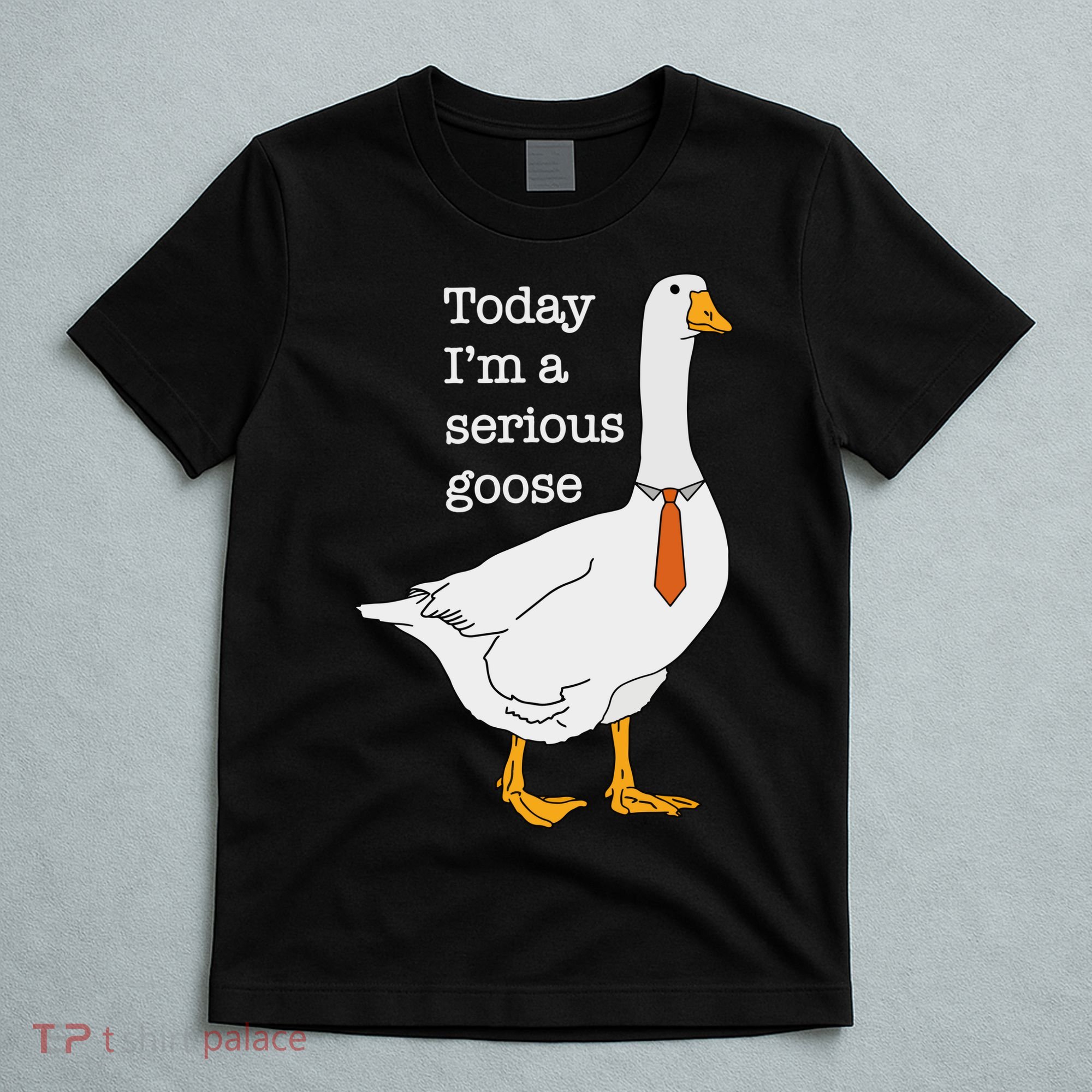 Today IM A Serious Goose Silly Goose T-Shirt