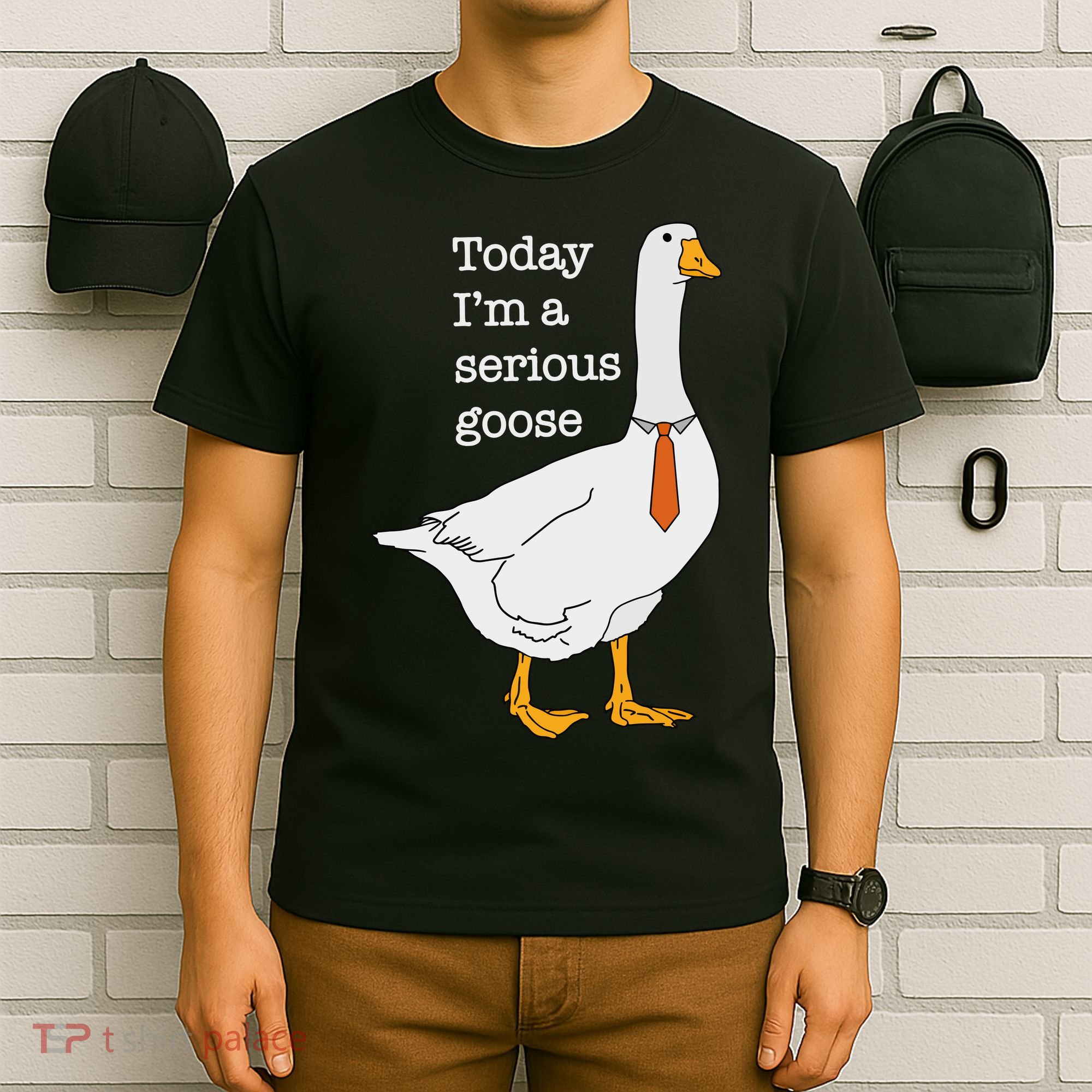Today IM A Serious Goose Silly Goose T-Shirt