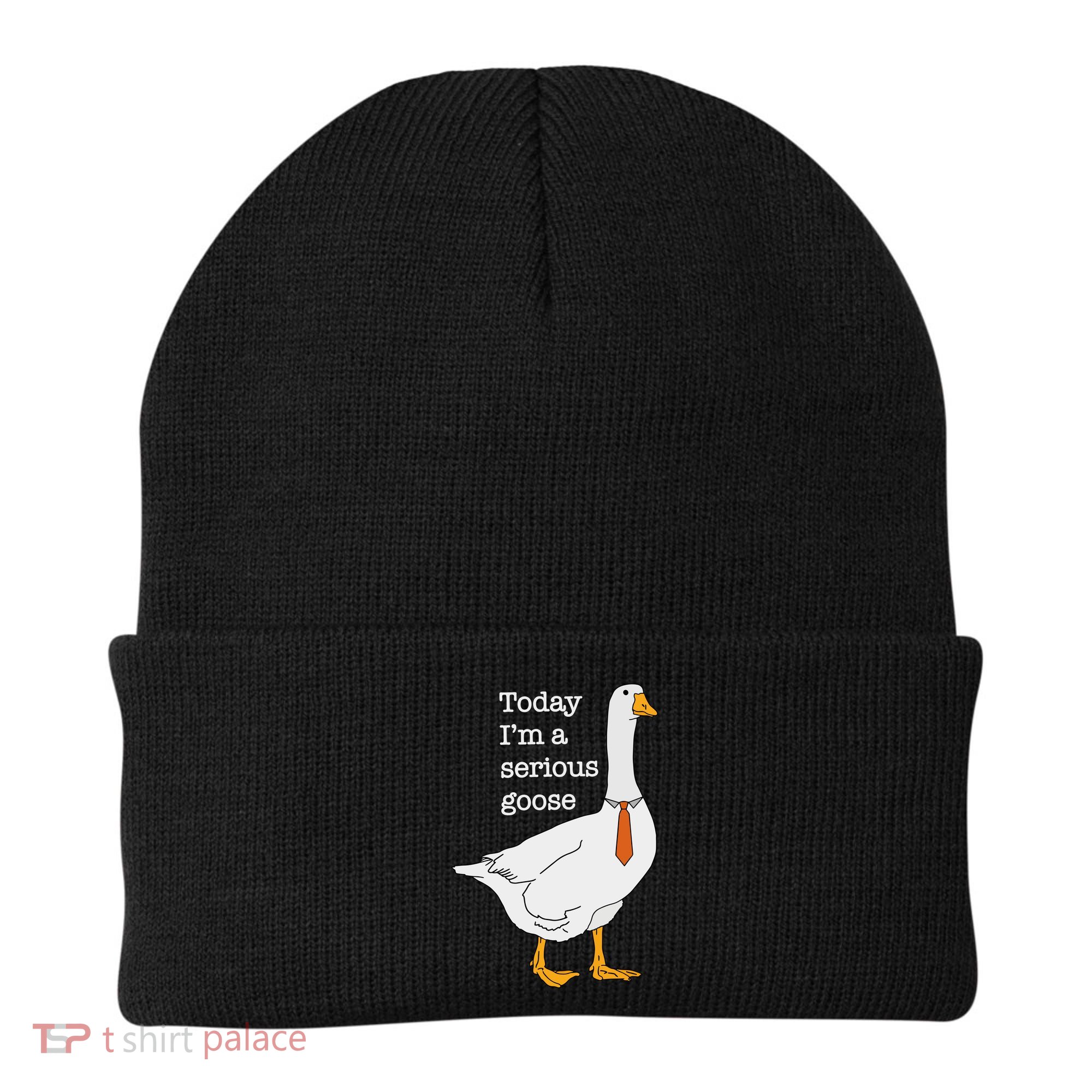 Today IM A Serious Goose Silly Goose Beanie