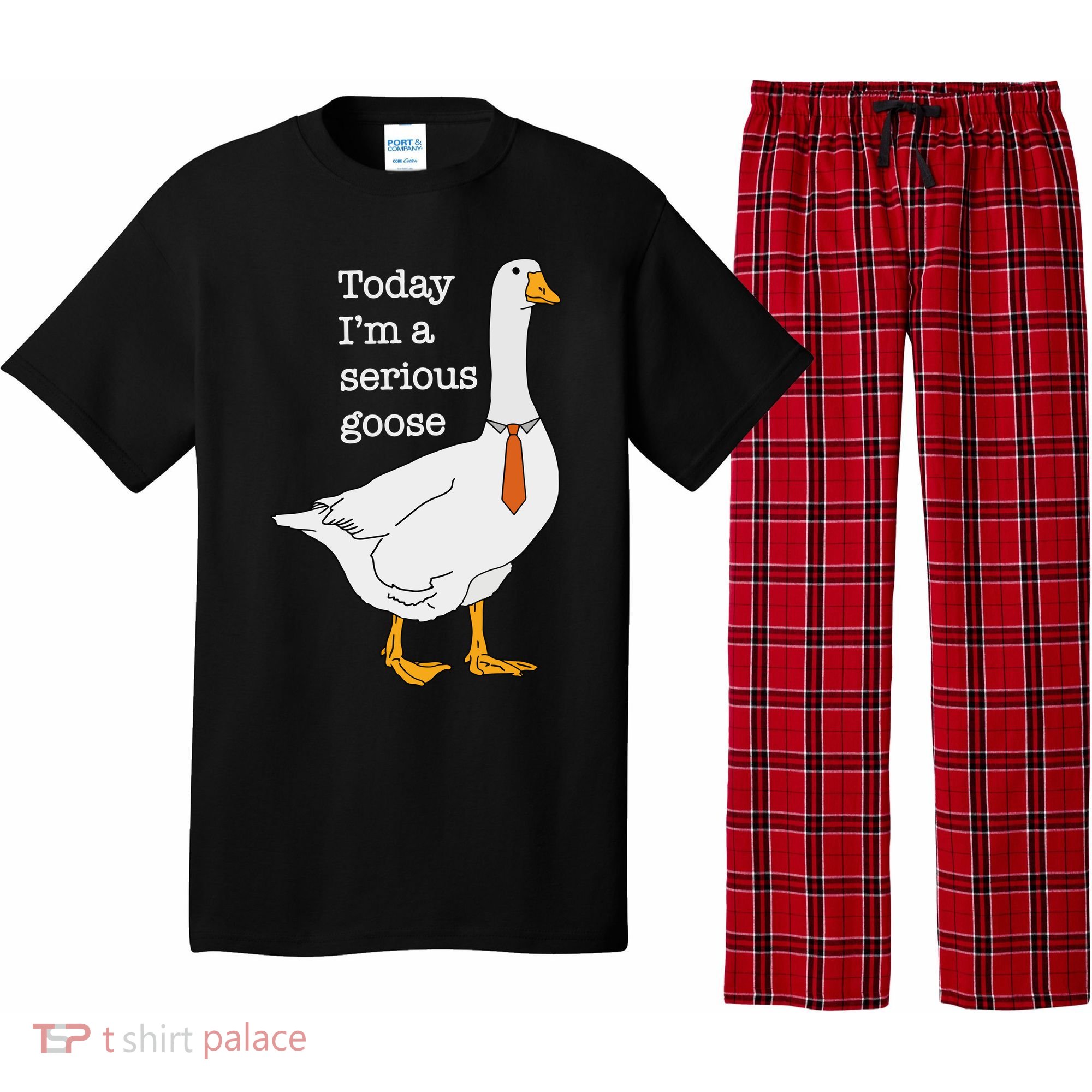 Today IM A Serious Goose Silly Goose Pajama Set