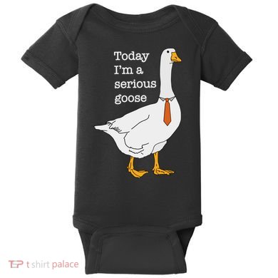 Today IM A Serious Goose Silly Goose Baby Bodysuit
