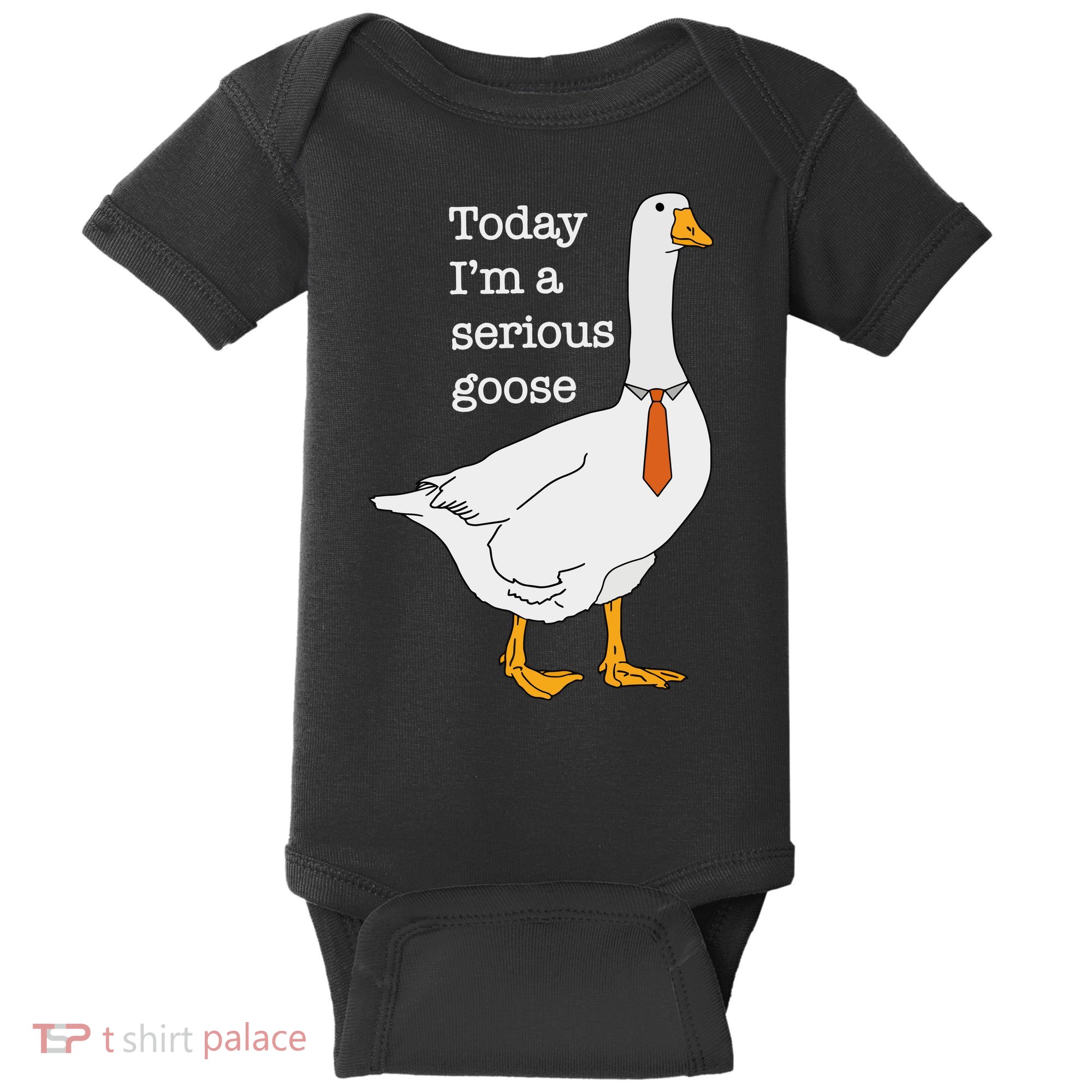 Today IM A Serious Goose Silly Goose Baby Bodysuit