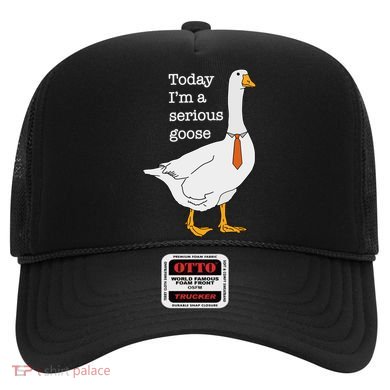 Today IM A Serious Goose Silly Goose Hat