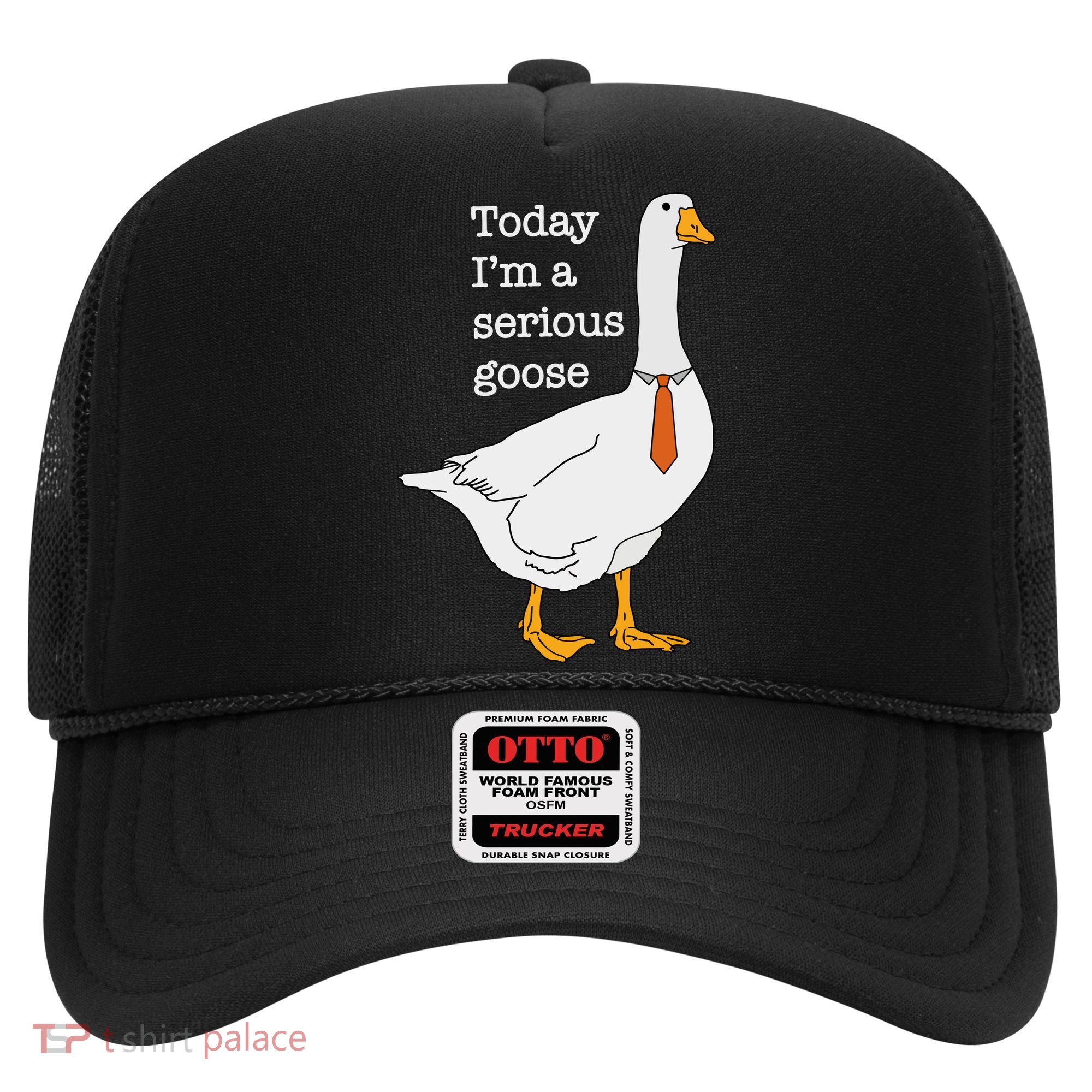 Today IM A Serious Goose Silly Goose Hat
