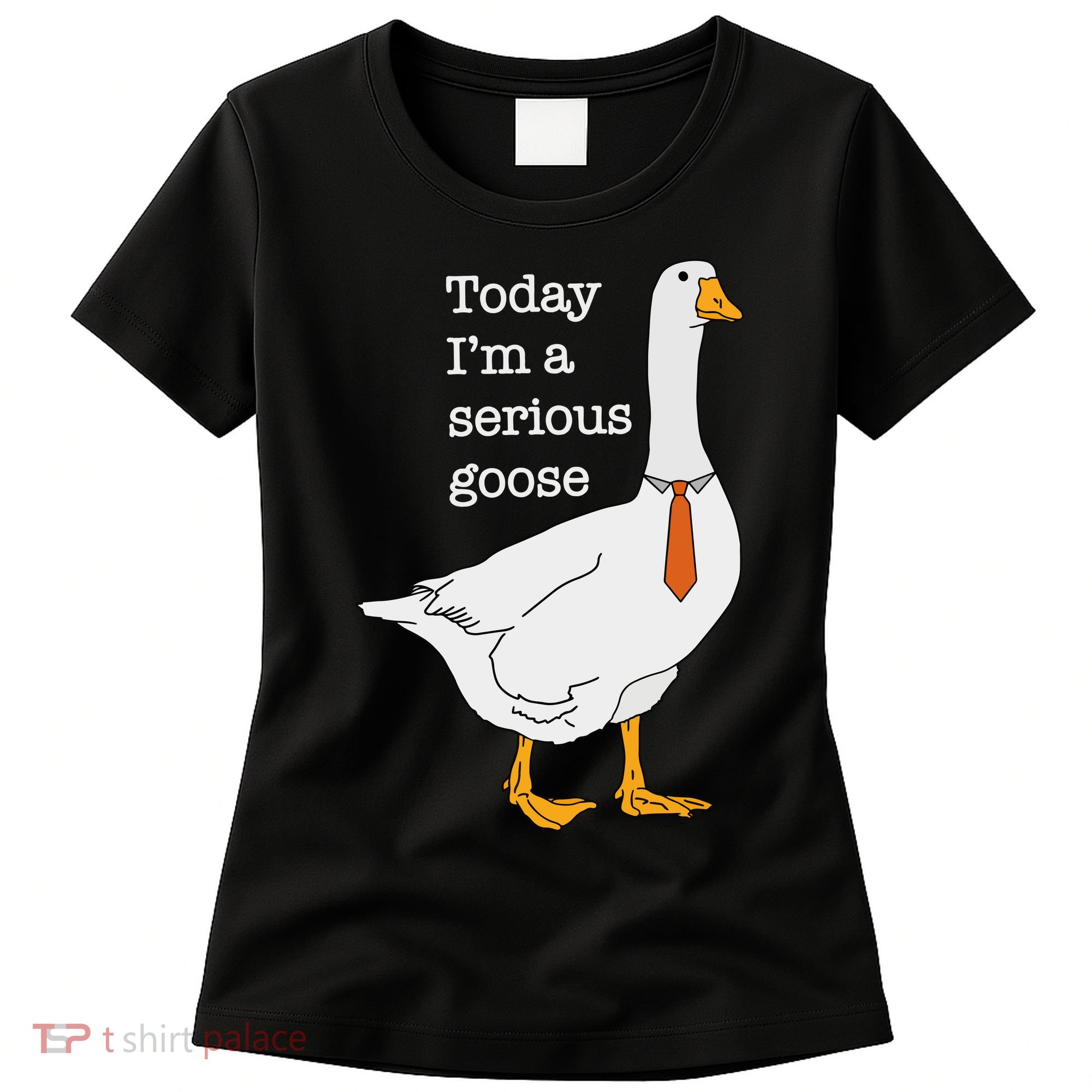 Today IM A Serious Goose Silly Goose Women's T-Shirt