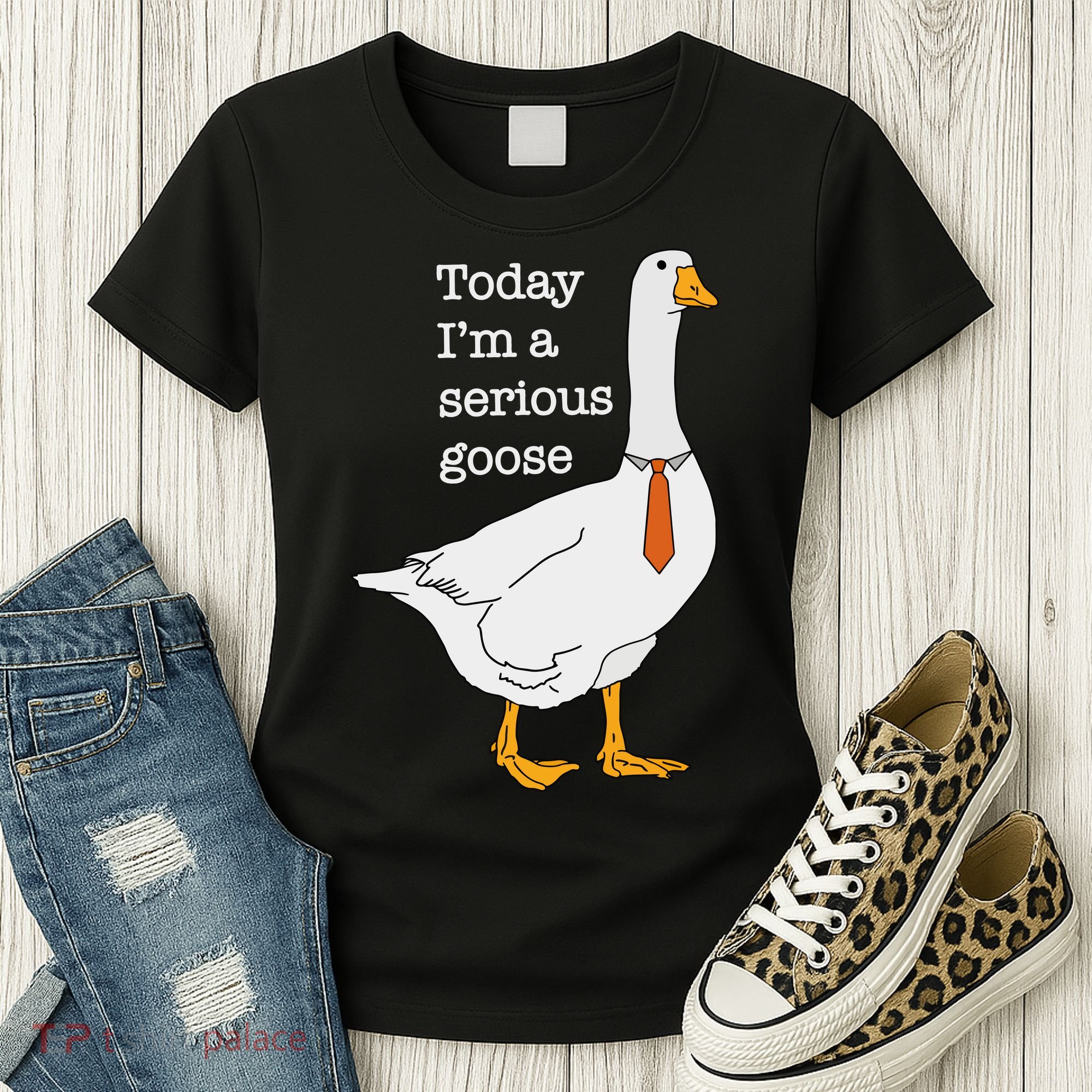Today IM A Serious Goose Silly Goose Women's T-Shirt