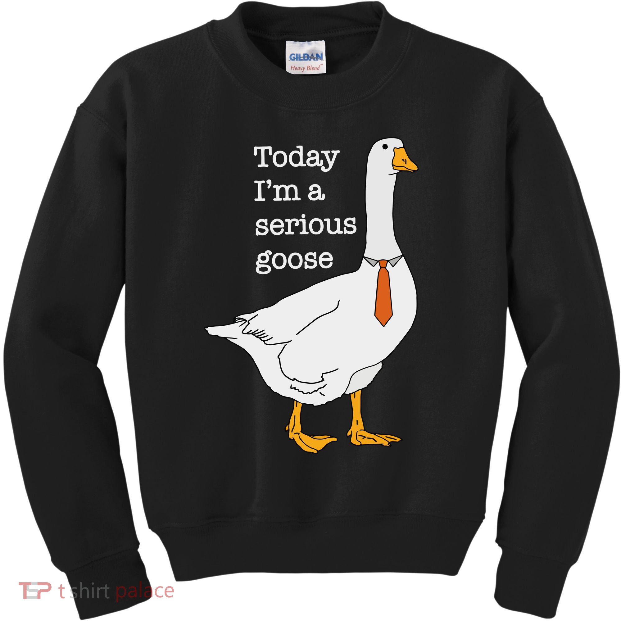 Today IM A Serious Goose Silly Goose Kids Sweatshirt