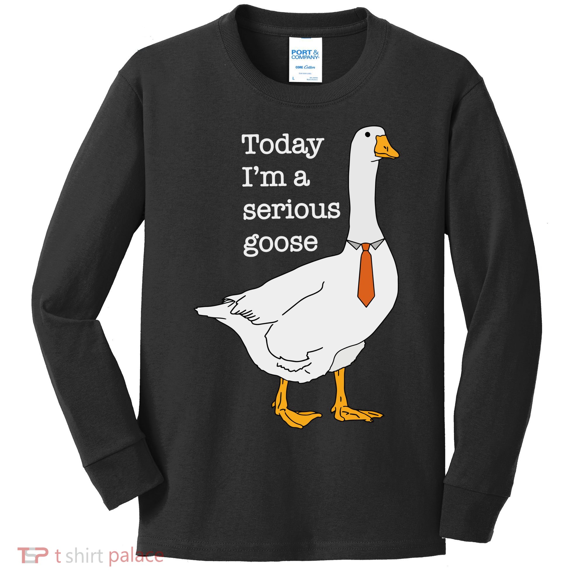 Today IM A Serious Goose Silly Goose Kids Long Sleeve Shirt