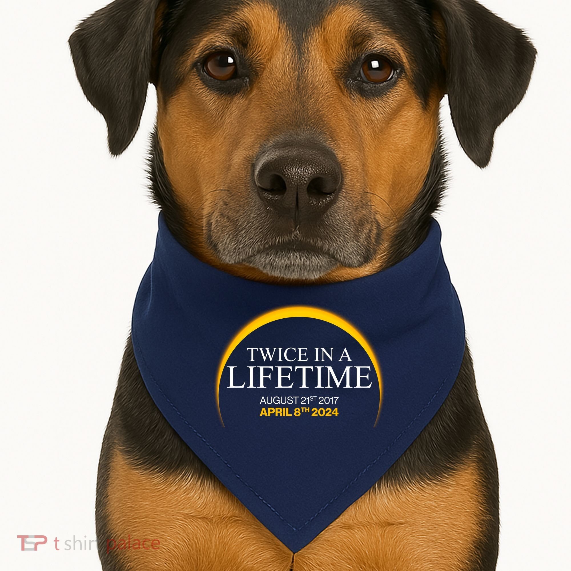 Twice In A Lifetime Total Solar Eclipse April 8 2024 USA-Made Doggie Bandana