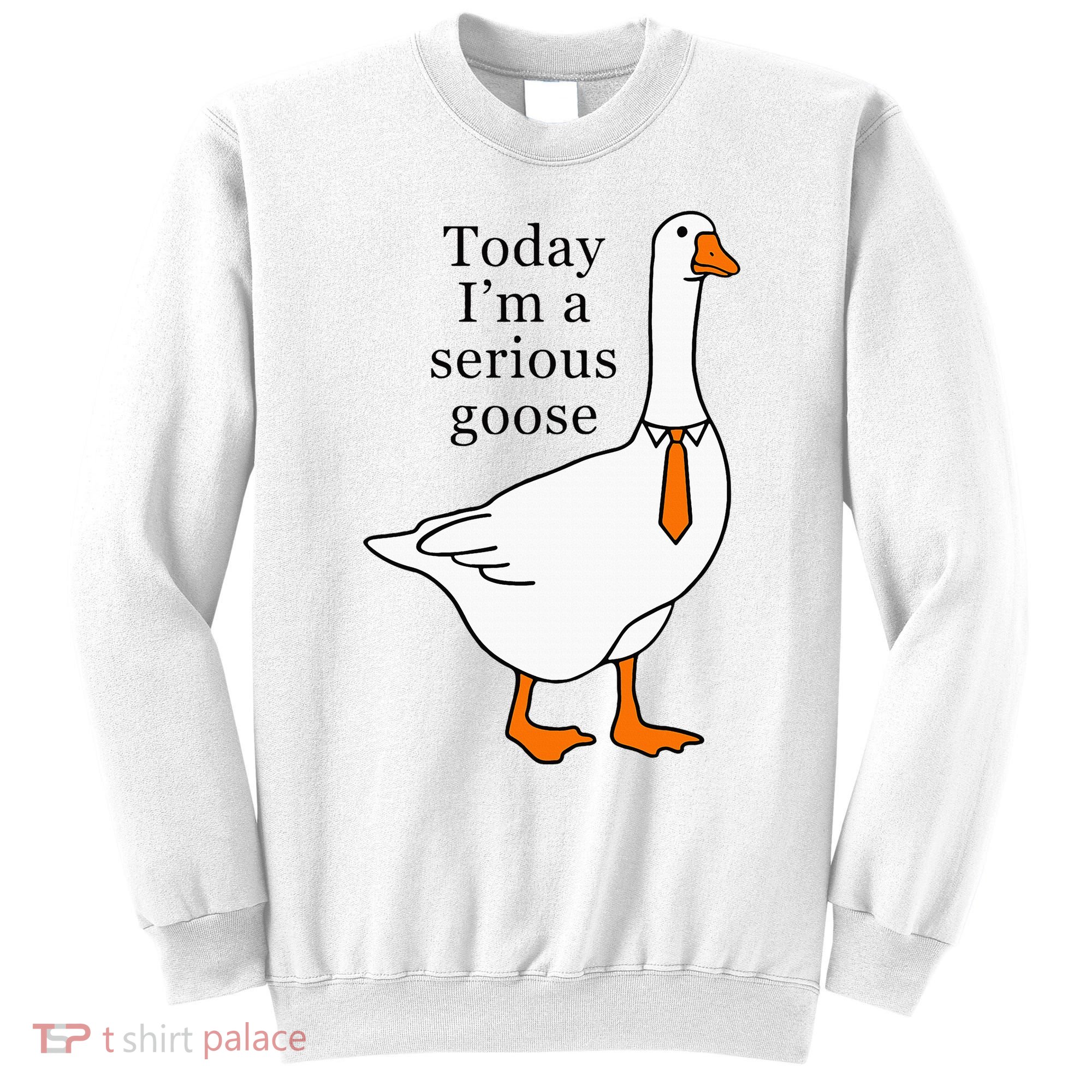 Today IM A Serious Goose Sweatshirt