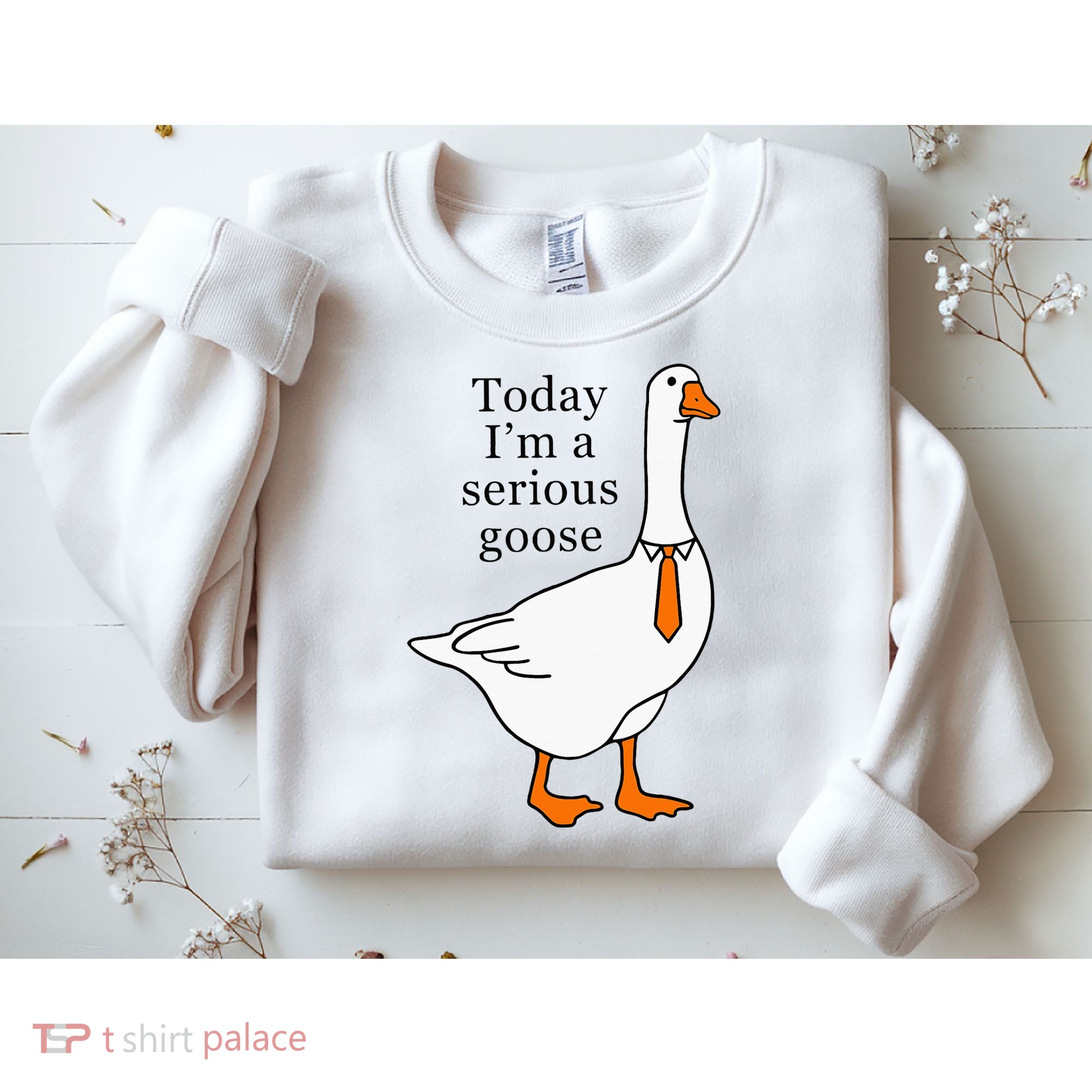 Today IM A Serious Goose Sweatshirt