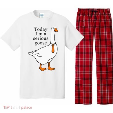Today IM A Serious Goose Pajama Set